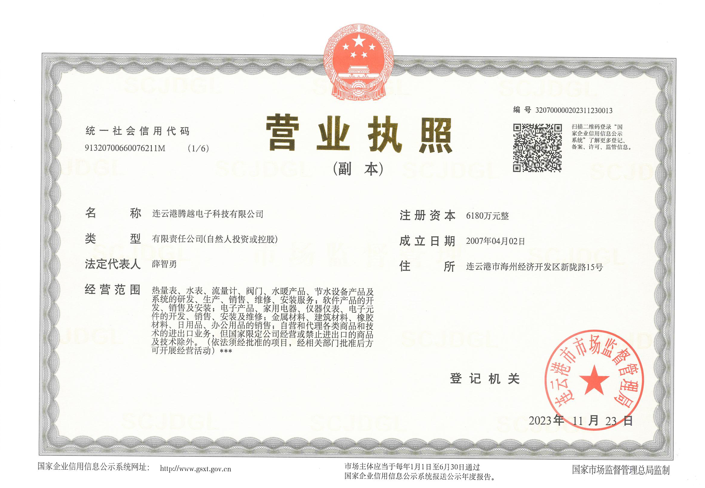 TY-A-01-0002企業(yè)法人營(yíng)業(yè)執(zhí)照副本-新_00